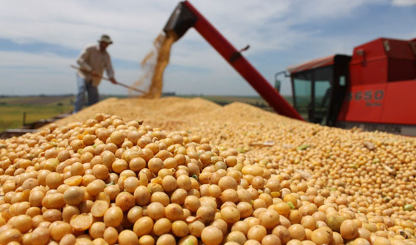 Produção de grãos tem previsão de aumento de 5,7%, chegando a 271,7 milhões de t
