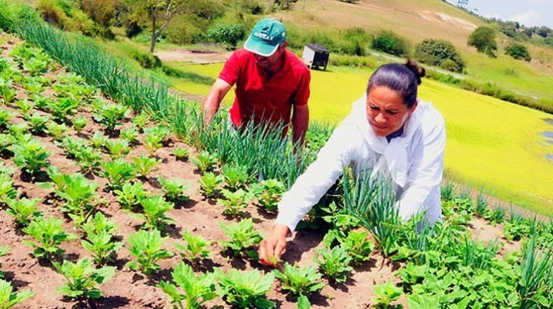 Piauí tem a maior taxa de produção para o consumo próprio do país