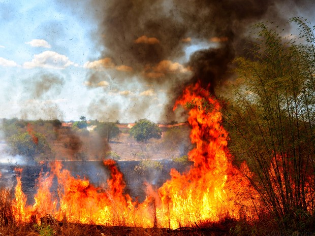 Defesa Civil faz alerta para início do período de queimadas em Teresina