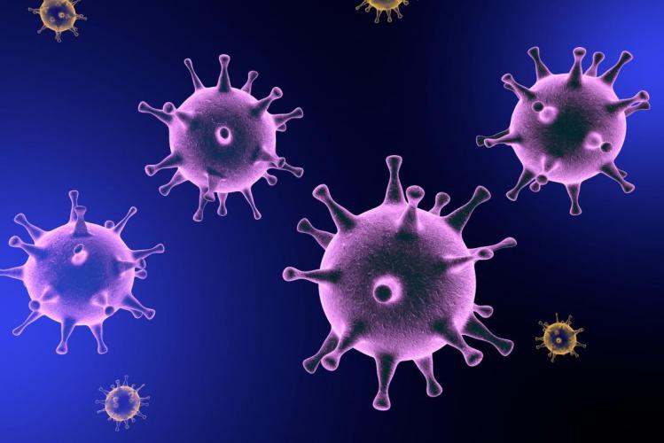 Timon contabiliza 8.838 casos e 163 mortes por coronavírus