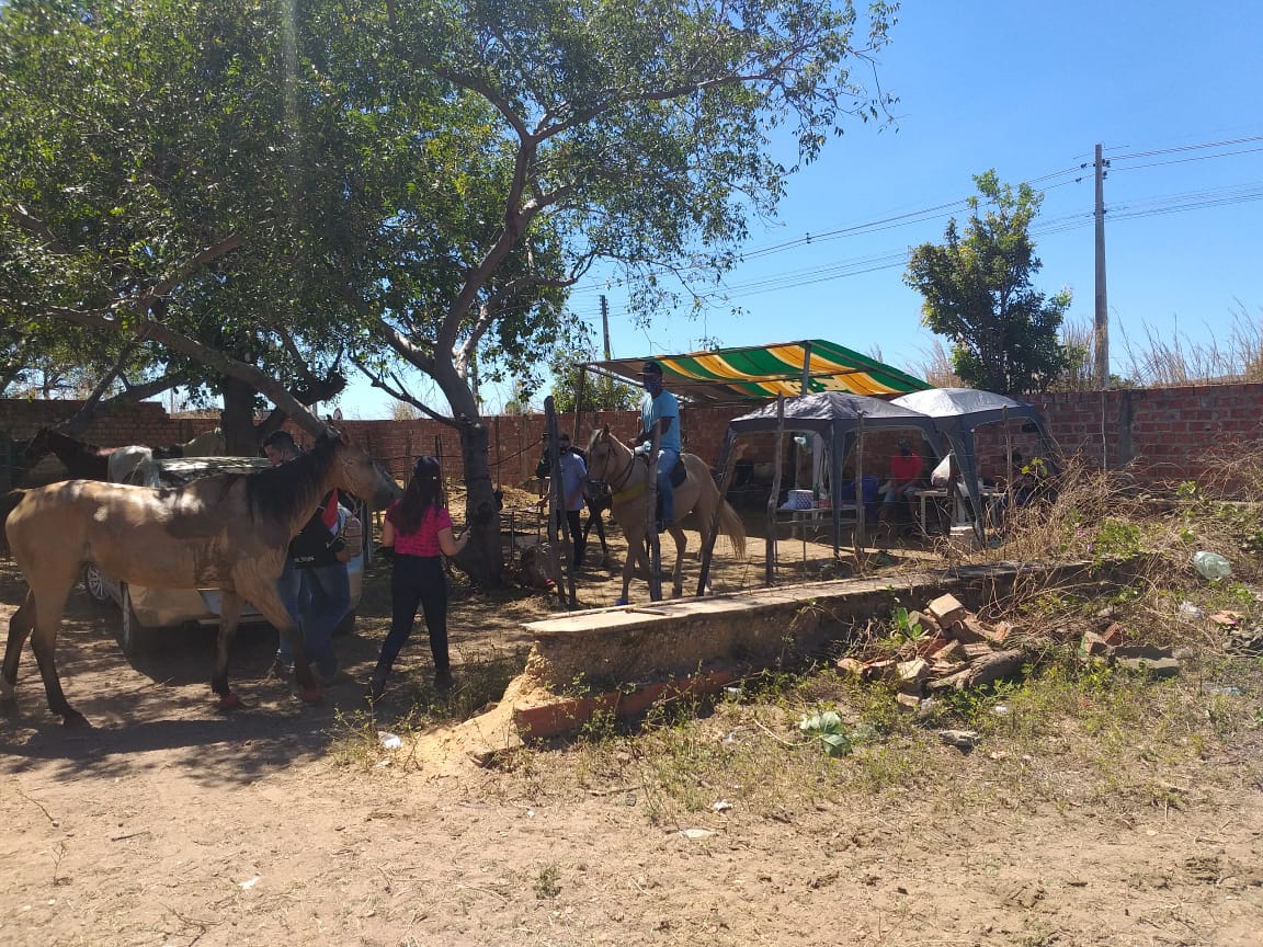 Guarda Municipal atende mais de 160 ocorrências no final de semana