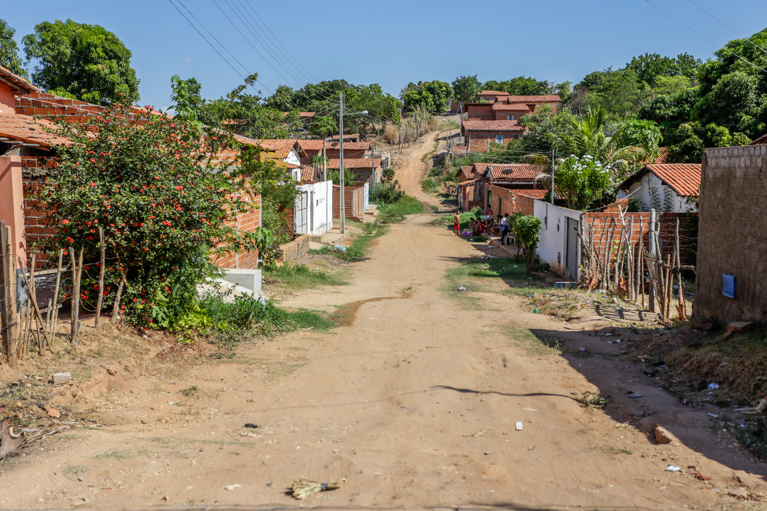 Bebê de apenas 2 meses é morto ao ser atacado por cachorro na zona Sul