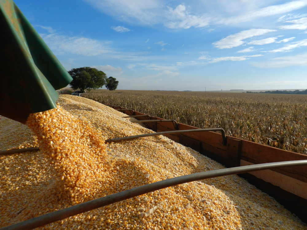 Brasil bate recorde com produção de 257 milhões de toneladas de grãos