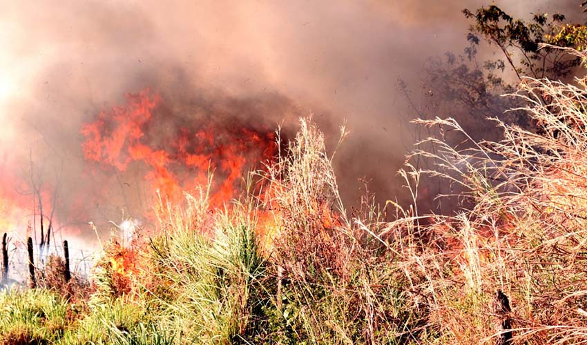 Corpo de Bombeiros faz recomendações sobre controle de queimadas