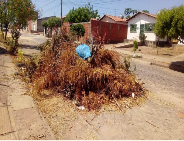 Aluísio Sampaio solicita capina e limpeza em bairros da zona Sul e Leste