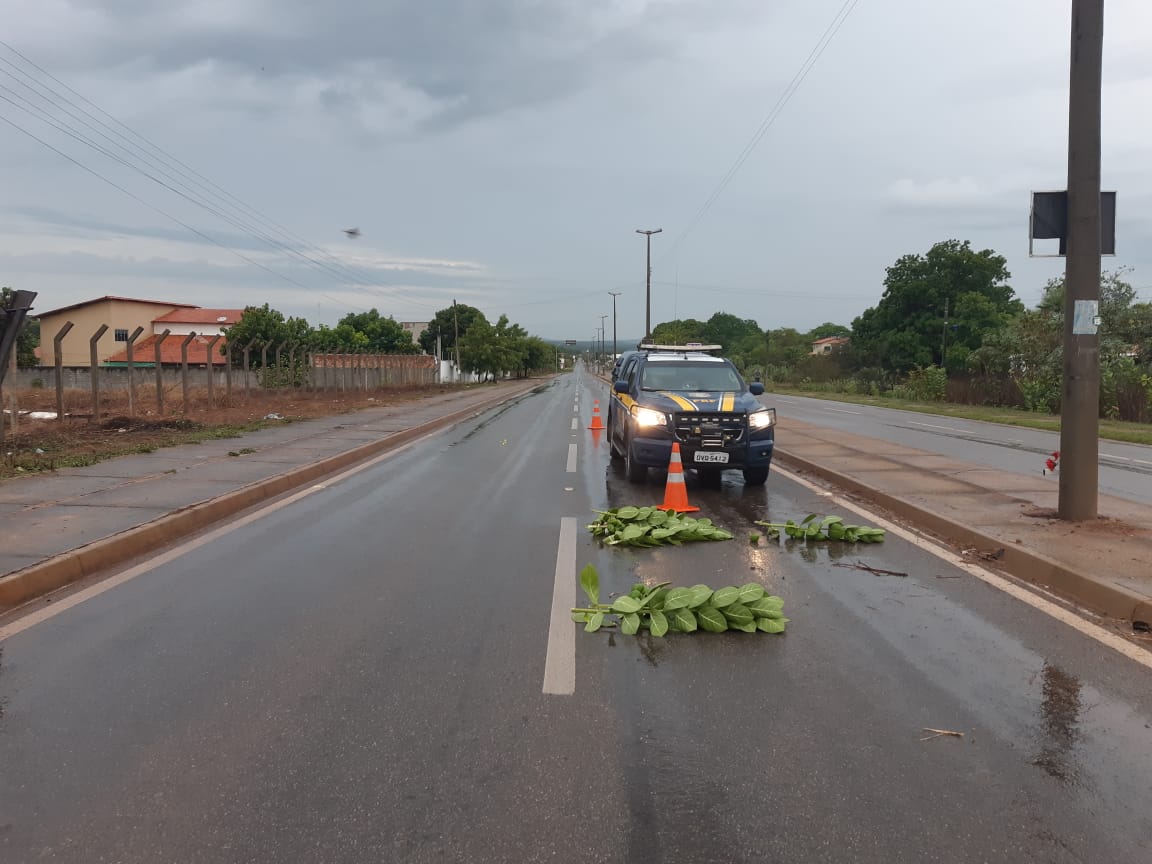 Homem morre ao perder controle de moto na BR 343 em Piracuruca