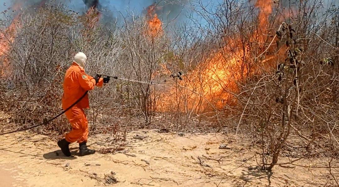 Focos de incêndio no Piauí aumentam em 38% em 2023